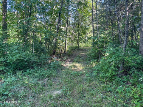 Tiny photo for 0 Evansport Road, Defiance, OH 43512 (MLS # 10013552)