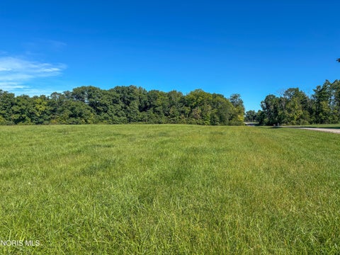 Tiny photo for 0 Evansport Road, Defiance, OH 43512 (MLS # 10013552)