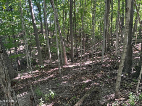 Tiny photo for 0 Evansport Road, Defiance, OH 43512 (MLS # 10013552)
