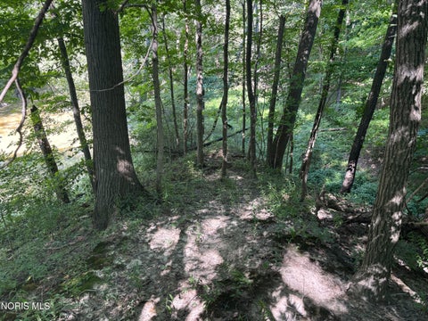 Tiny photo for 0 Evansport Road, Defiance, OH 43512 (MLS # 10013552)