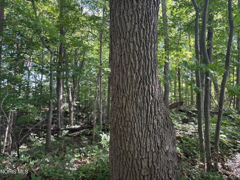 Tiny photo for 0 Evansport Road, Defiance, OH 43512 (MLS # 10013552)