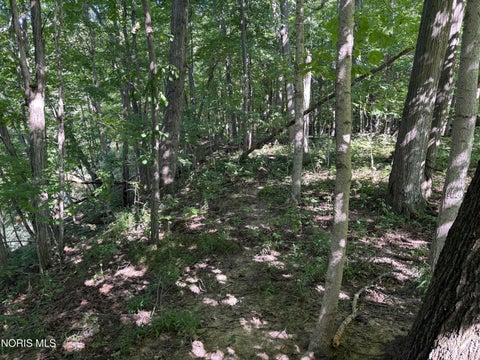 Tiny photo for 0 Evansport Road, Defiance, OH 43512 (MLS # 10013552)