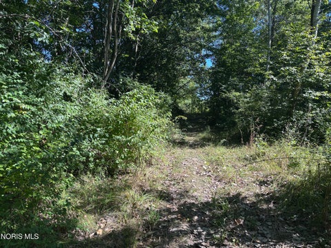 Tiny photo for 0 Evansport Road, Defiance, OH 43512 (MLS # 10013552)