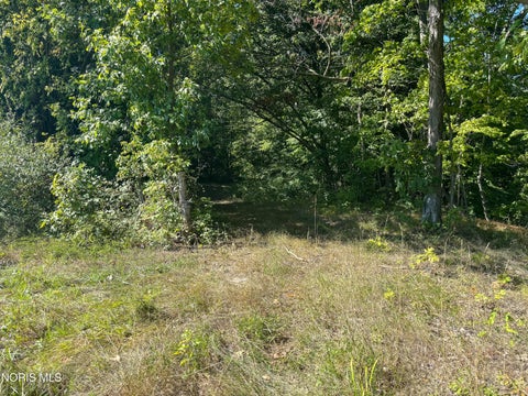 Tiny photo for 0 Evansport Road, Defiance, OH 43512 (MLS # 10013552)
