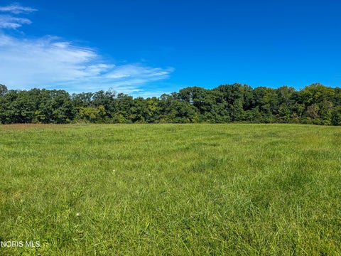 Tiny photo for 0 Evansport Road, Defiance, OH 43512 (MLS # 10013552)