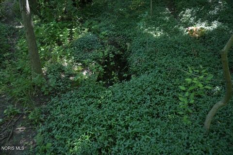 Tiny photo for 0 W River Road, Grand Rapids, OH 43522 (MLS # 10010210)