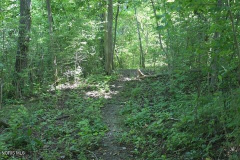 Tiny photo for 0 W River Road, Grand Rapids, OH 43522 (MLS # 10010210)