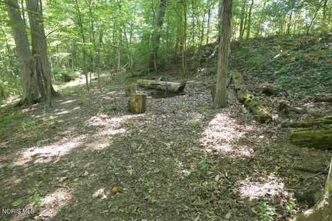 Tiny photo for 0 W River Road, Grand Rapids, OH 43522 (MLS # 10010210)