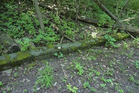 Tiny photo for 0 W River Road, Grand Rapids, OH 43522 (MLS # 10010210)