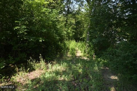 Tiny photo for 0 W River Road, Grand Rapids, OH 43522 (MLS # 10010210)