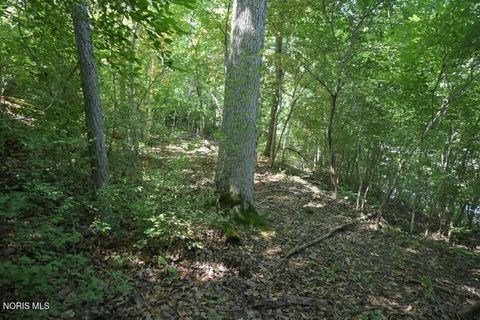 Tiny photo for 0 W River Road, Grand Rapids, OH 43522 (MLS # 10010210)