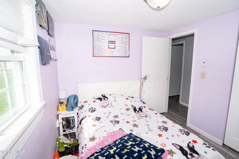 Tiny photo for 713 N Walnut Street, Paulding, OH 45879 (MLS # 10005540)