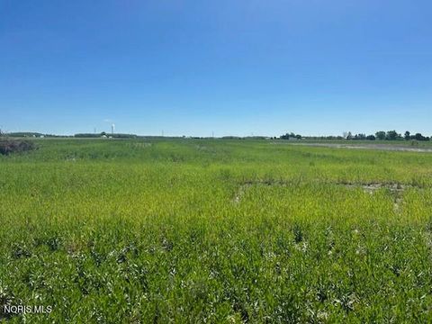 Photo of 4223 N Graytown Road, Graytown, OH 43432 (MLS # 10007951)