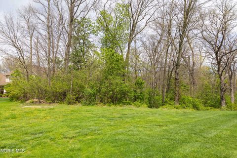 Tiny photo for 3667 Turtle Creek Drive, Perrysburg, OH 43551 (MLS # 10006584)