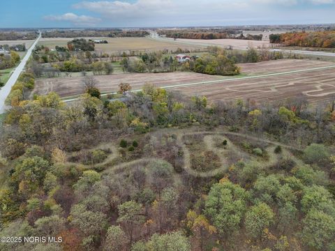 Tiny photo for 23058 Township Road 185, Forest, OH 45843 (MLS # 10000525)
