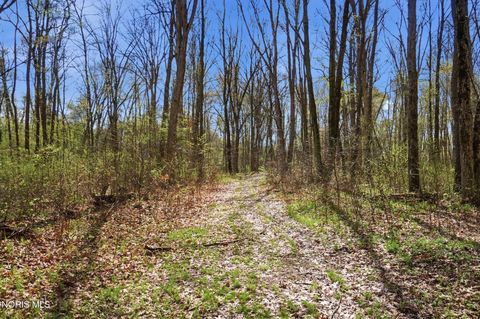 Tiny photo for 12500 County Road L, Wauseon, OH 43567 (MLS # 10006492)
