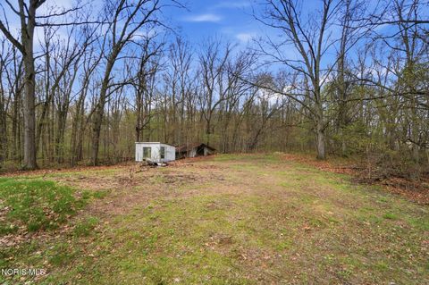 Tiny photo for 12500 County Road L, Wauseon, OH 43567 (MLS # 10006492)