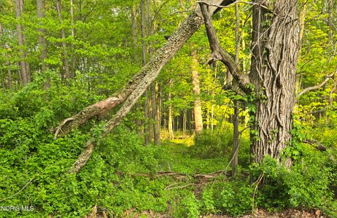 Tiny photo for 4496 Cr 1-2, Swanton, OH 43558 (MLS # 10004837)