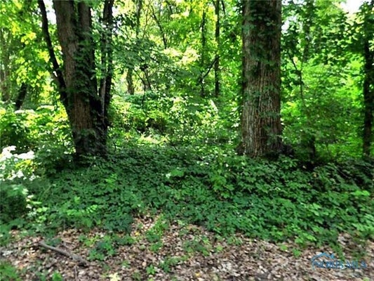 6043 ROAN RD, SYLVANIA, OH 43560 - Image f1a0898da8824a12e714be0786f91c5b/2681180067