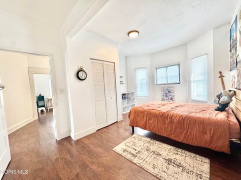 Tiny photo for 317 Western Avenue, Toledo, OH 43609 (MLS # 10004636)