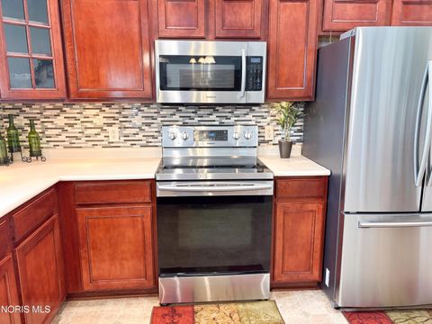Tiny photo for 910 Water Street, Woodville, OH 43469 (MLS # 10010010)