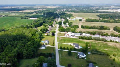 Tiny photo for 910 Water Street, Woodville, OH 43469 (MLS # 10010010)