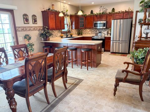 Tiny photo for 910 Water Street, Woodville, OH 43469 (MLS # 10010010)