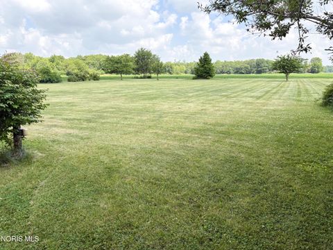 Tiny photo for 910 Water Street, Woodville, OH 43469 (MLS # 10010010)
