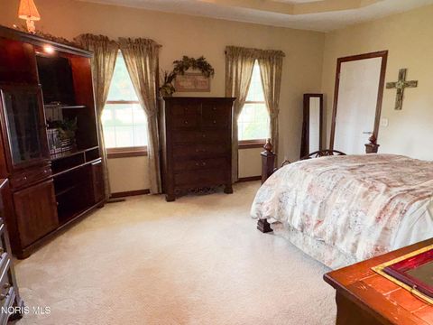 Tiny photo for 910 Water Street, Woodville, OH 43469 (MLS # 10010010)
