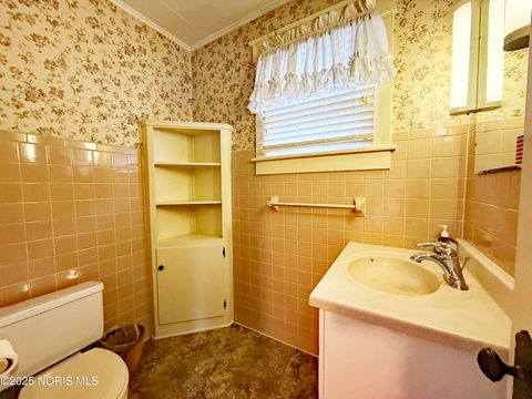 Tiny photo for 160 Elm Street, Fostoria, OH 44830 (MLS # 10000915)