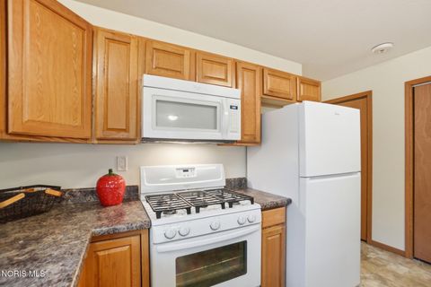 Tiny photo for 827 Wilson Street, Findlay, OH 45840 (MLS # 10008129)