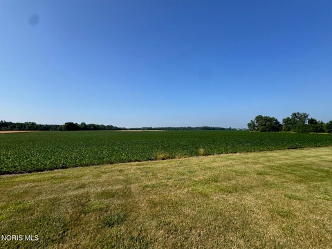 Vacant Land For Sale - 000 County Road 12<br/> Pioneer, OH 43554