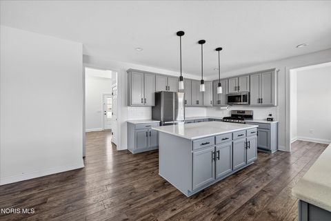 Tiny photo for 14917 County Road 6, Metamora, OH 43540 (MLS # 10004656)