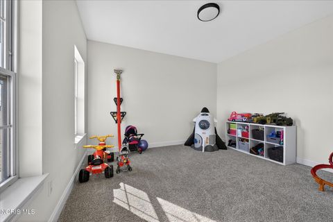 Tiny photo for 14917 County Road 6, Metamora, OH 43540 (MLS # 10004656)