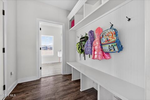 Tiny photo for 14917 County Road 6, Metamora, OH 43540 (MLS # 10004656)