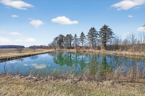 Tiny photo for 14917 County Road 6, Metamora, OH 43540 (MLS # 10004656)