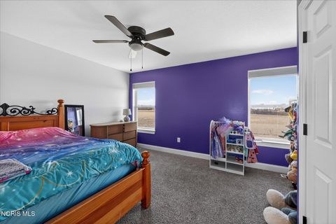 Tiny photo for 14917 County Road 6, Metamora, OH 43540 (MLS # 10004656)