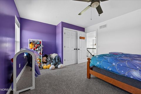 Tiny photo for 14917 County Road 6, Metamora, OH 43540 (MLS # 10004656)