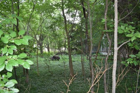 Tiny photo for 2106 Grecourt Drive, Toledo, OH 43615 (MLS # 10010226)