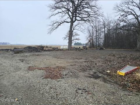 Photo of 13205 Oris Avenue, Defiance, OH 43512 (MLS # 10005968)