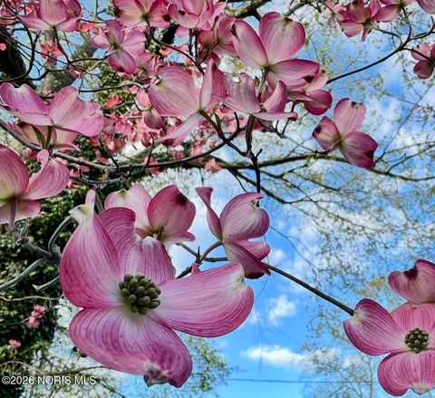 Tiny photo for 126 Edgerton Drive, Waterville, OH 43566 (MLS # 10003781)