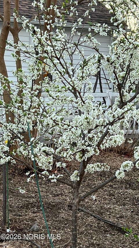 Tiny photo for 126 Edgerton Drive, Waterville, OH 43566 (MLS # 10003781)