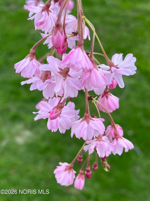 Tiny photo for 126 Edgerton Drive, Waterville, OH 43566 (MLS # 10003781)