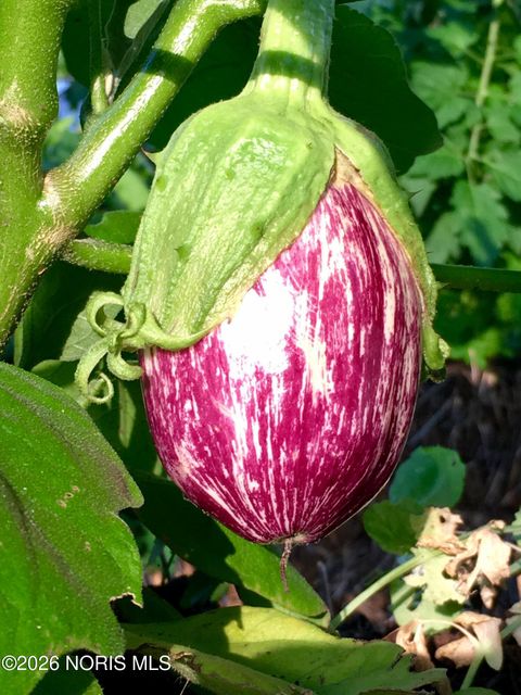 Tiny photo for 126 Edgerton Drive, Waterville, OH 43566 (MLS # 10003781)