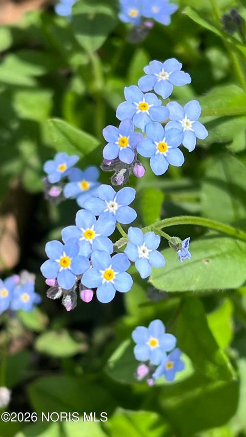 Tiny photo for 126 Edgerton Drive, Waterville, OH 43566 (MLS # 10003781)