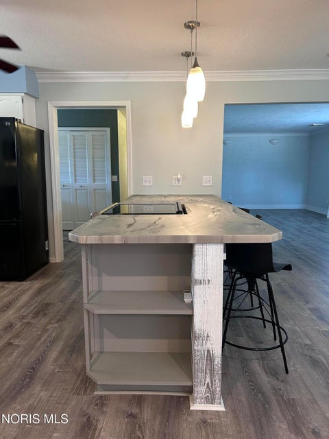 Tiny photo for 16759 Hammansburg Road, Cygnet, OH 43413 (MLS # 10013673)