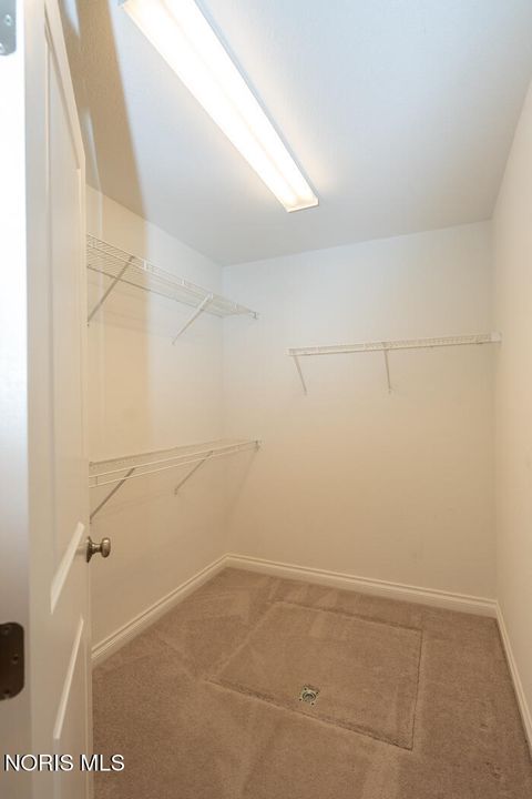 Tiny photo for 6908 Torrey Pine Court, Maumee, OH 43537 (MLS # 10010023)