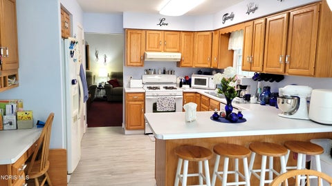 Tiny photo for 717 Lakeshore Drive, Pioneer, OH 43554 (MLS # 10009282)