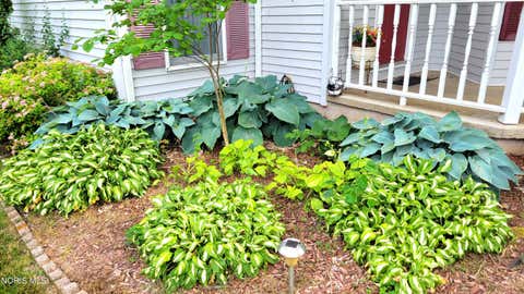 Tiny photo for 717 Lakeshore Drive, Pioneer, OH 43554 (MLS # 10009282)