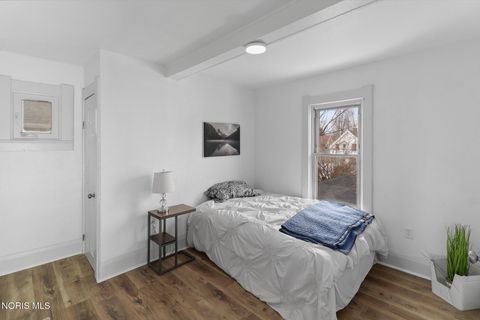 Tiny photo for 538 Ogden Avenue, Toledo, OH 43609 (MLS # 10005737)